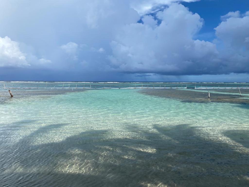 Hotel Blue Reef Frente Al Mar Mahahual Exterior photo